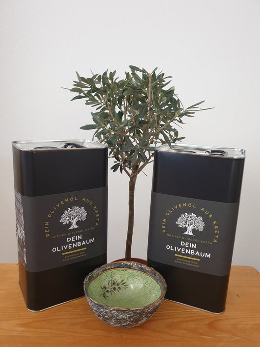 Vorbestellung Ernte 2024: Olivenbaum-Patenschaft mit 10 Litern Olivenöl aus Ernte 2024 - Auslieferung Juni 2024