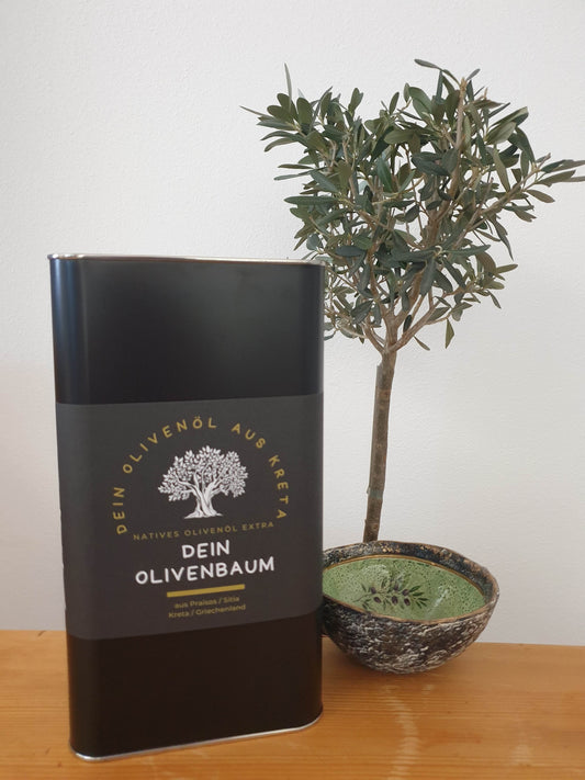 Vorbestellung: Ernte 2024: Olivenbaum-Patenschaft mit 5 Litern Olivenöl aus Ernte 2024 - Auslieferung Juni 2024